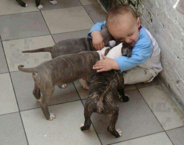 Where does friendship begin? - Children, Pet, Love, friendship, Longpost, Pets