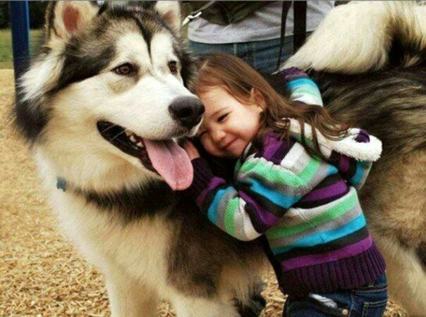 Where does friendship begin? - Children, Pet, Love, friendship, Longpost, Pets