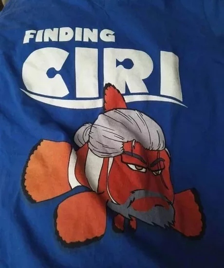 Looking for Ciri - Geralt of Rivia, Finding Nemo, Witcher