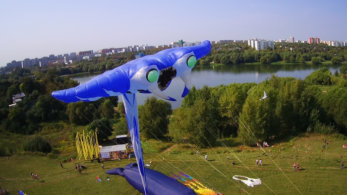 Manta - My, Kite, The festival, Tsaritsyno