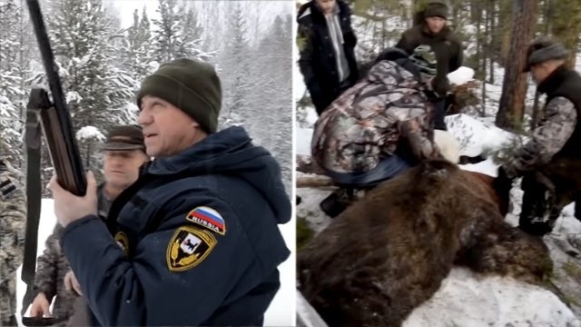 How people's governor Levchenko killed a bear - Russia, Society, Animals, The Bears, Murder, The governor, Irkutsk region, Ren TV, Video