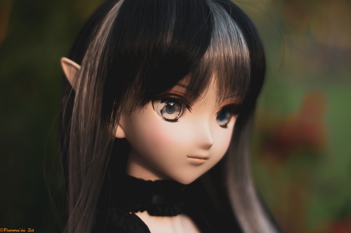 DollfieDream -    Dollfiedream,  , , , , , 