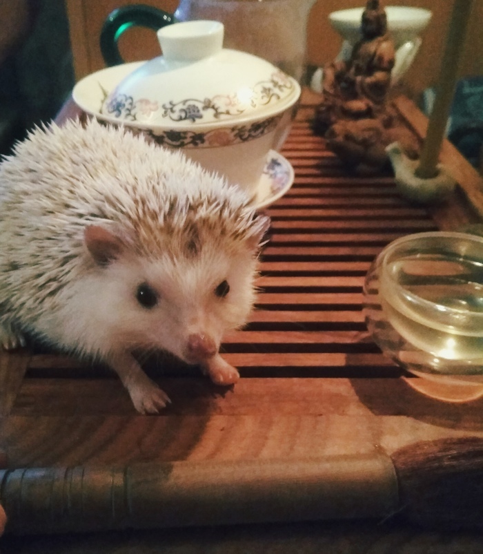 Мудрости пост.