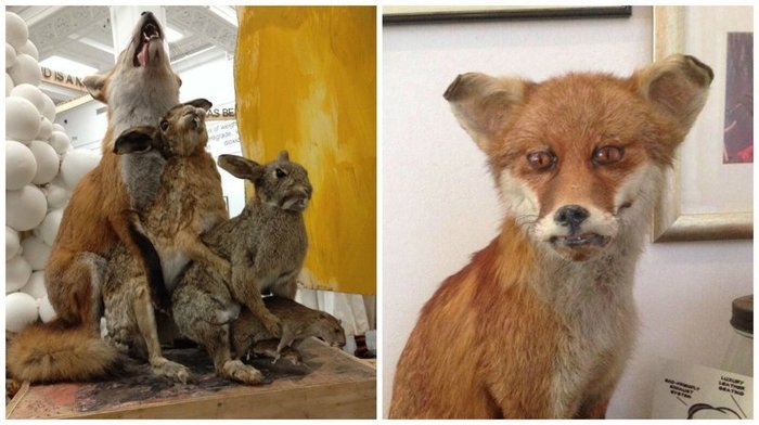 Looks like someone screwed up. - Taxidermy, , , , Longpost, Humor