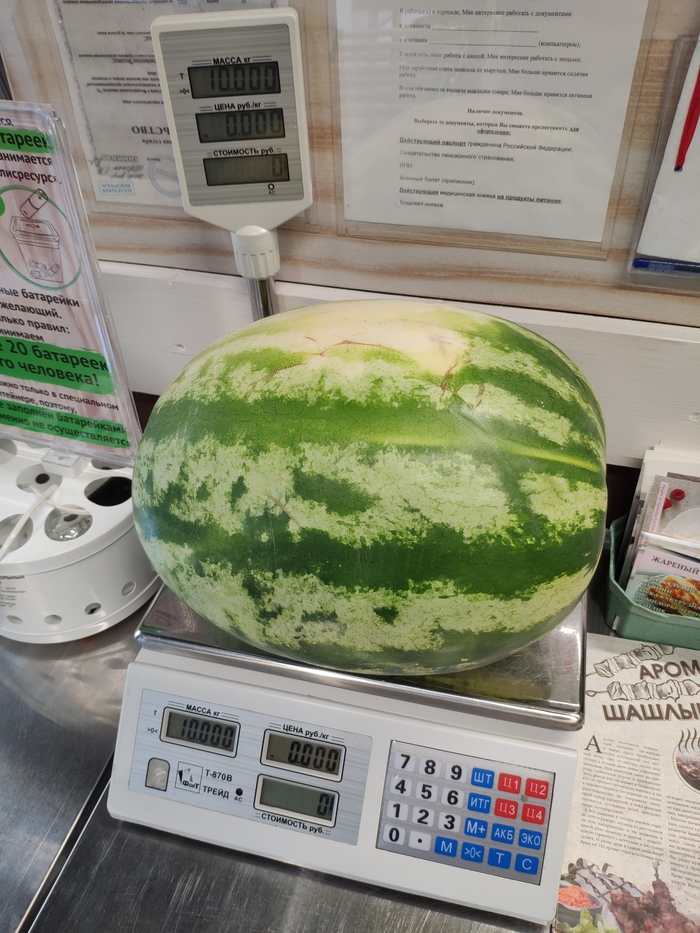 Caught a watermelon-jubilee! - My, Watermelon, scales, Perfectionism