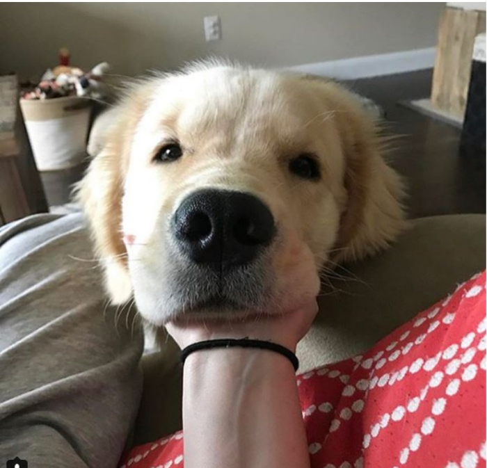 � �� ��� ���-������ ��� �������?