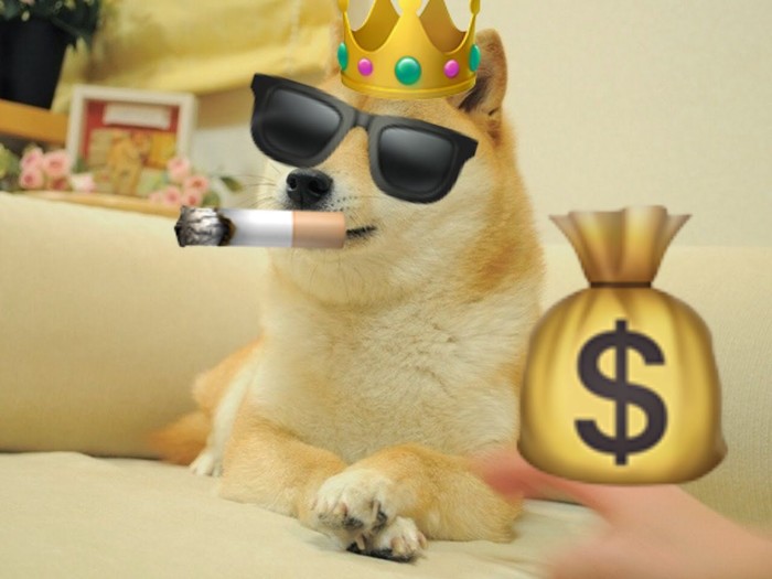 business dog - Dog, , Show Business, Money, Success, Milota