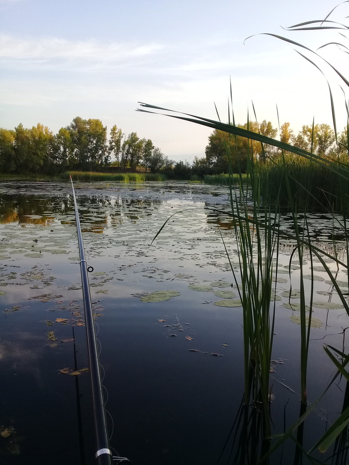 Хватит ремонтов.... - Моё, Рыбалка, Хватит, Красота, Природа, Длиннопост