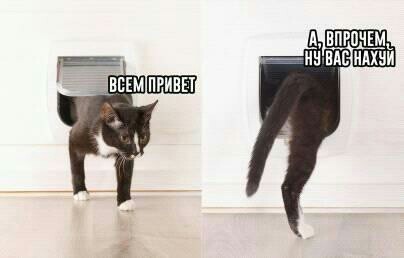 Здравствуйте