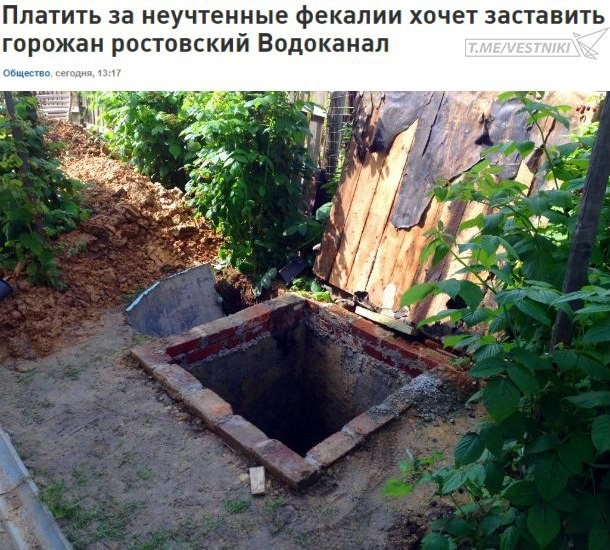 All faeces will be declared! - Rostov-on-Don, Housing and communal services, Feces