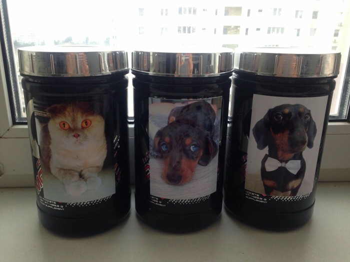 Что бы не заблудиться, где чей корм)