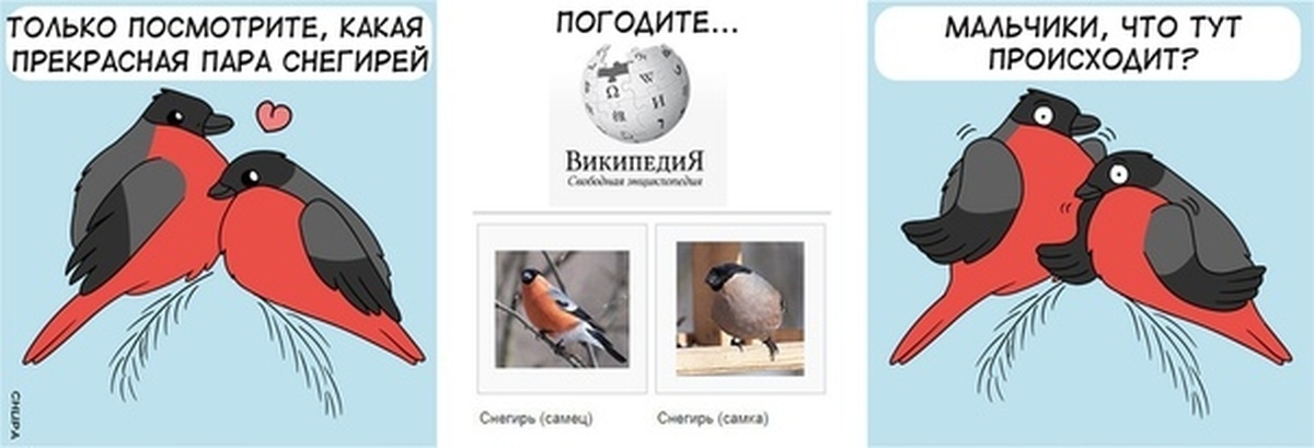 Снегирь Кинопоиск