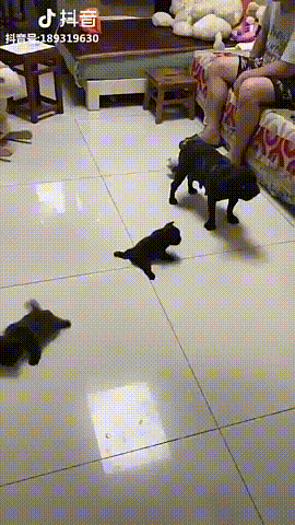 Ребята,за мной! Ребята,за мной!
