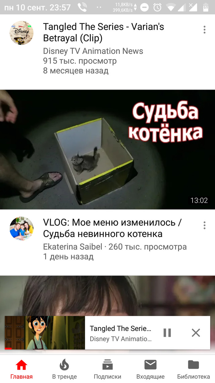 Судьба котенка или немного о важности перечитывания заголовка