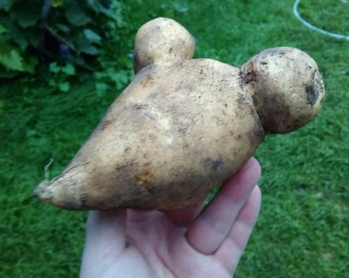 ����� ������.