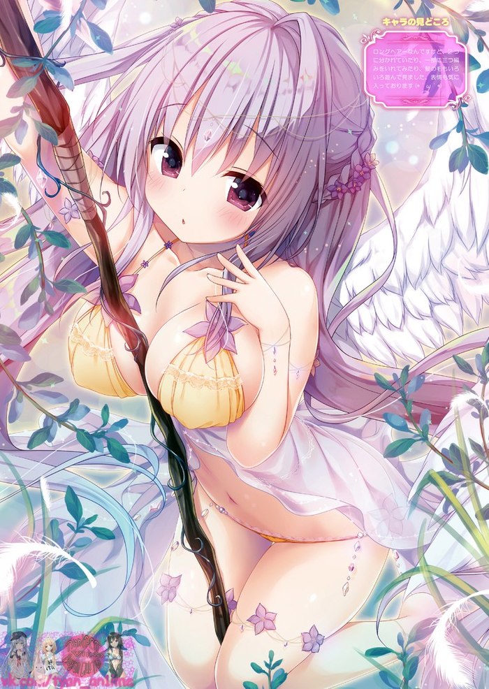 Tyan 004 - NSFW, Chan, Anime, Anime original, Underpants, Bra, Soft Ecchi