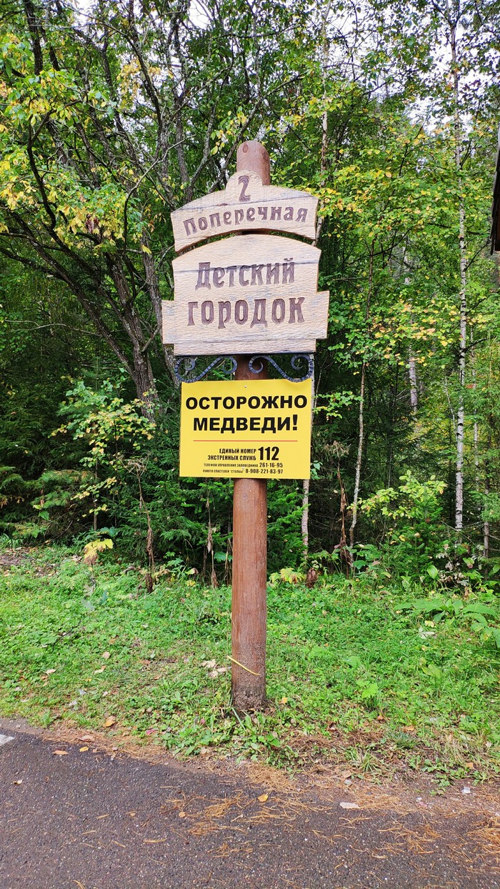 Caution bears - My, The photo, Reserves and sanctuaries, Krasnoyarsk pillars, Pillars reserve, Krasnoyarsk, Siberia