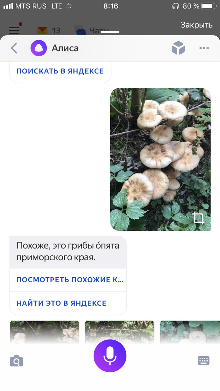       2018 , , , ,  