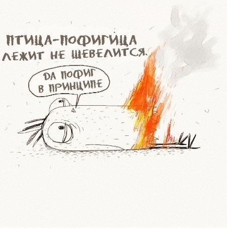 �����-��������