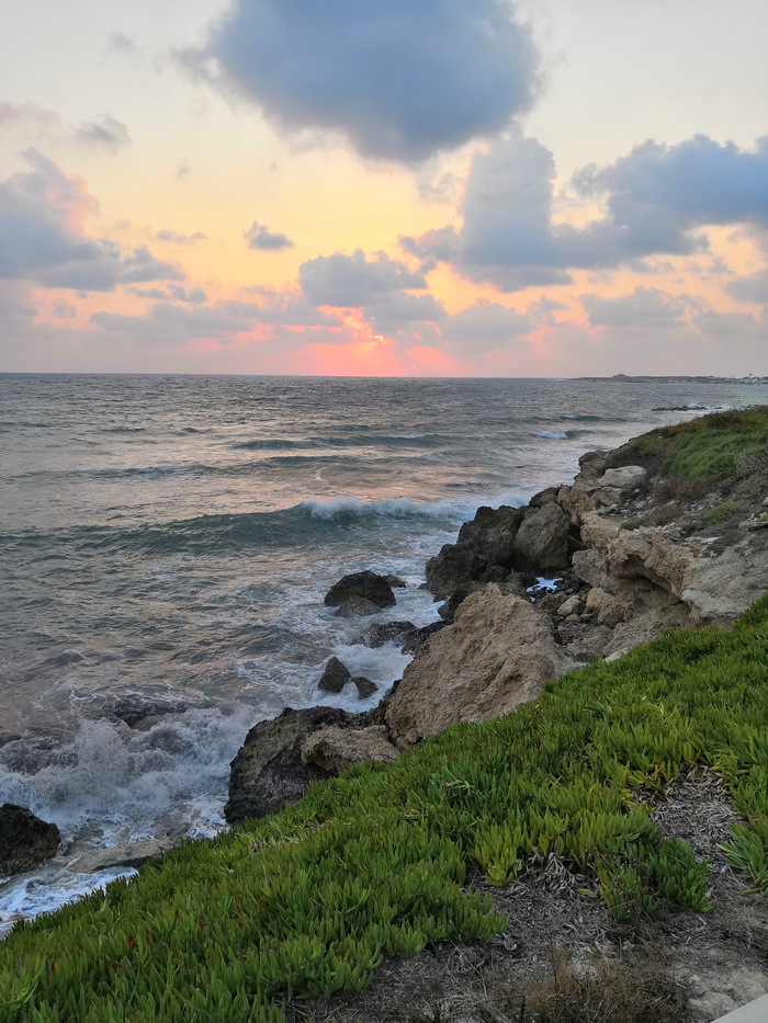 Cyprus, Paphos, 09.09.18, Honor 10. - My, Cyprus, Nature