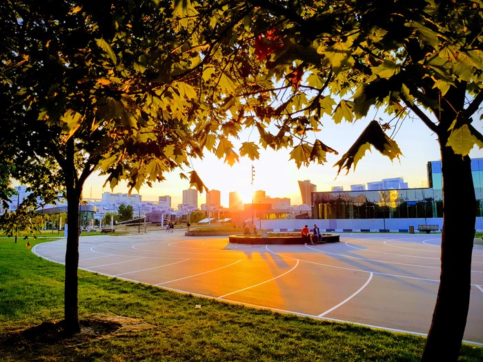 Evening from work) - My, Sunset, The park, Tree, Foliage