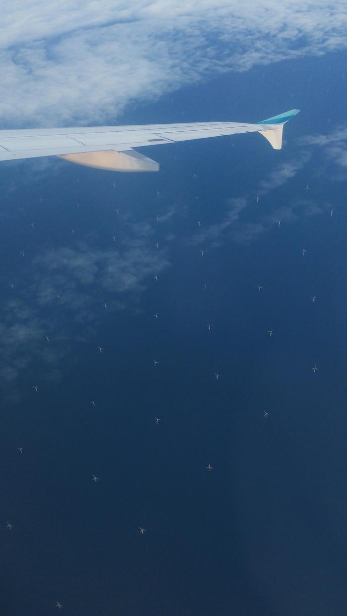 Our plane flew over the offshore wind farm - Airplane, , Reddit, Wind generator