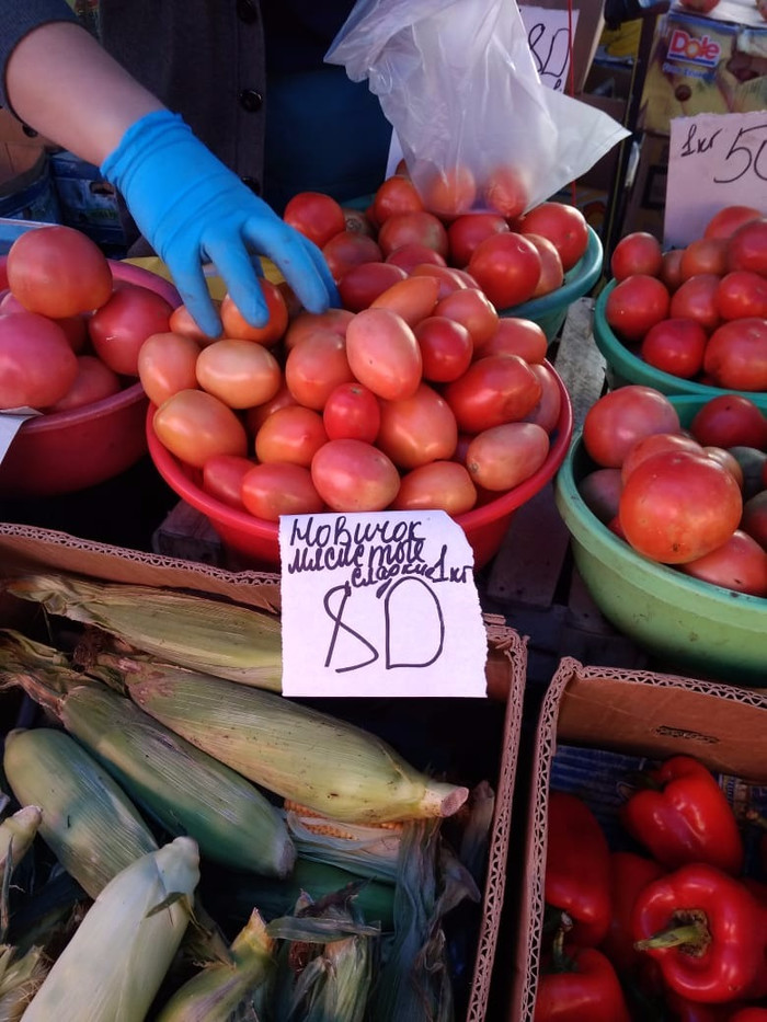 Here he is, Rookie - My, Market, Tomatoes