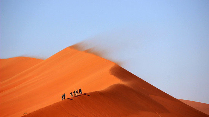 The largest desert in the world wants to turn into a garden - Sahara, Desert, Africa, Climate