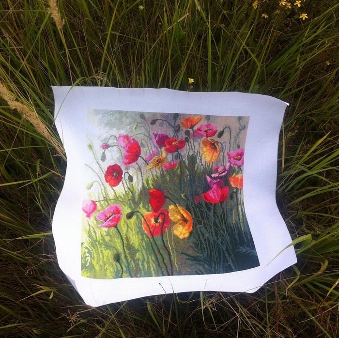 Poppy field - My, Embroidery, With your own hands, Needlework, Hobby