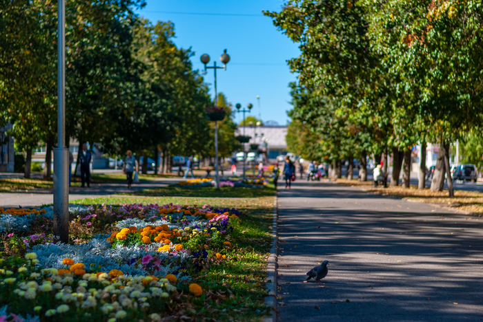 SEPTEMBER - Моё, Фотография, Сентябрь, Длиннопост