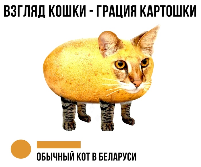 Картофельные аномалии...