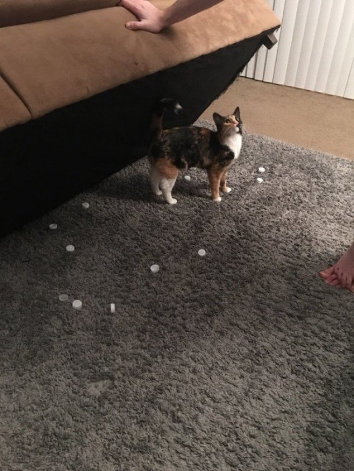      ... , , 