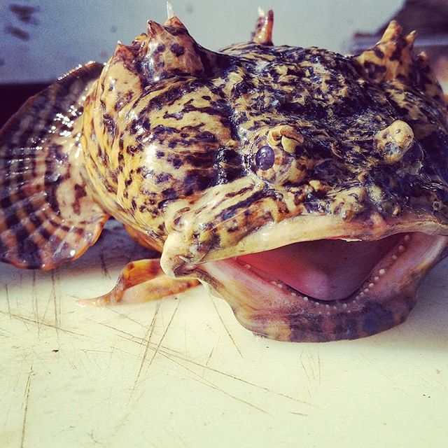 рыба капля люди в черном. Смотреть фото рыба капля люди в черном. Смотреть картинку рыба капля люди в черном. Картинка про рыба капля люди в черном. Фото рыба капля люди в черном рыба капля люди в черном. Смотреть фото рыба капля люди в черном. Смотреть картинку рыба капля люди в черном. Картинка про рыба капля люди в черном. Фото рыба капля люди в черном