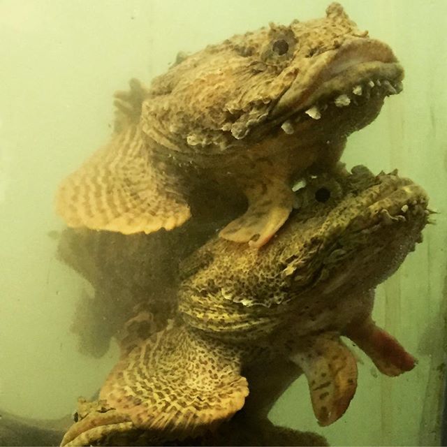 рыба капля люди в черном. Смотреть фото рыба капля люди в черном. Смотреть картинку рыба капля люди в черном. Картинка про рыба капля люди в черном. Фото рыба капля люди в черном рыба капля люди в черном. Смотреть фото рыба капля люди в черном. Смотреть картинку рыба капля люди в черном. Картинка про рыба капля люди в черном. Фото рыба капля люди в черном