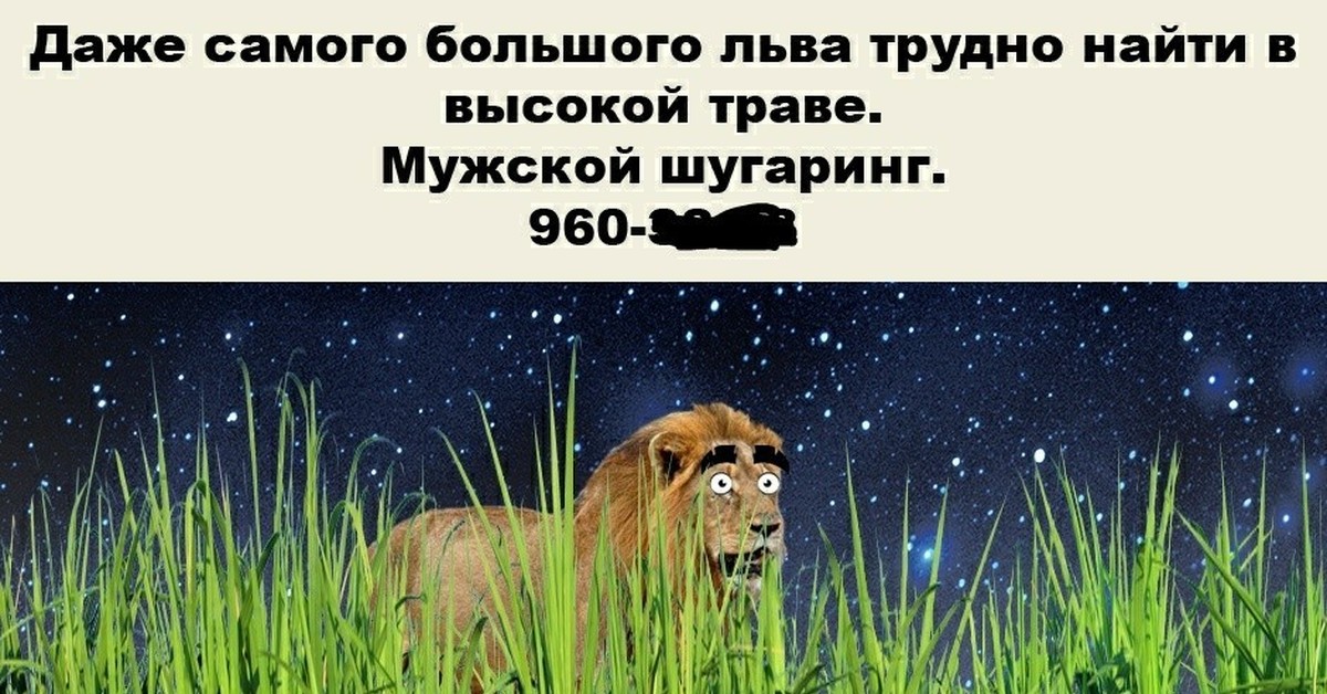 Плохим лев. Даже самого большого Льва. Даже самый большой Лев не виден в высокой траве. Даже самого большого Льва трудно найти. Даже самого высокого Льва.