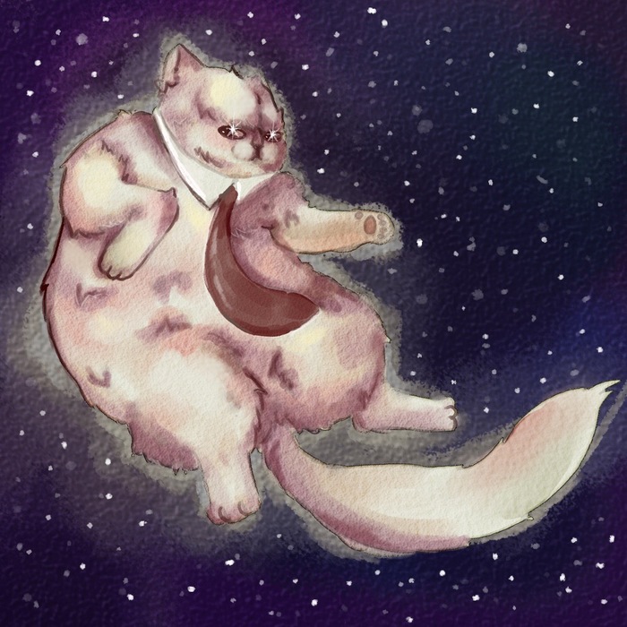 Космический котик.
