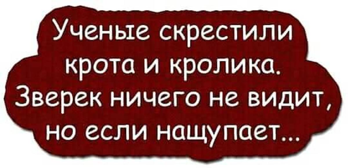 Ученые скрестили. Ученые скрестили крота и кролика. Работаю довольно редко а недовольно каждый день. Работаю довольно редко а недовольно каждый день картинки. Учёные скрестили крота и кралика.