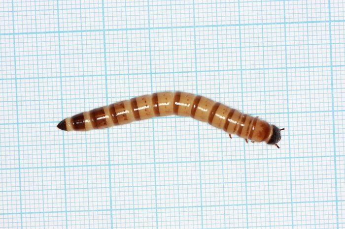 ����������, ���� ���� �����!