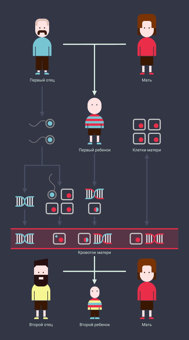 Whose genes? Telegony - disassembled into parts. - Telegony, , Video, Longpost, Pseudoscience