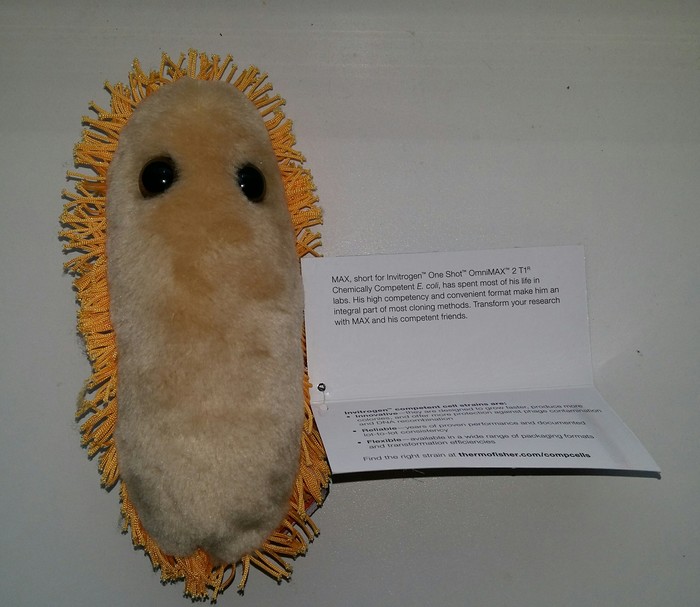 E. coli toy - My, The science, Microbes, Soft toy