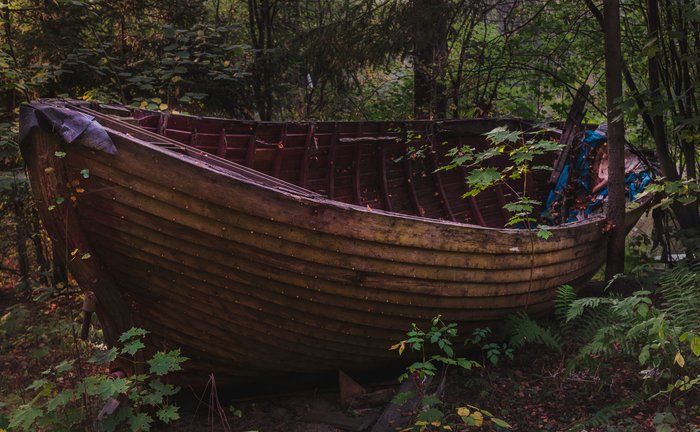 Old boat in the forest. - My, , , A boat, 