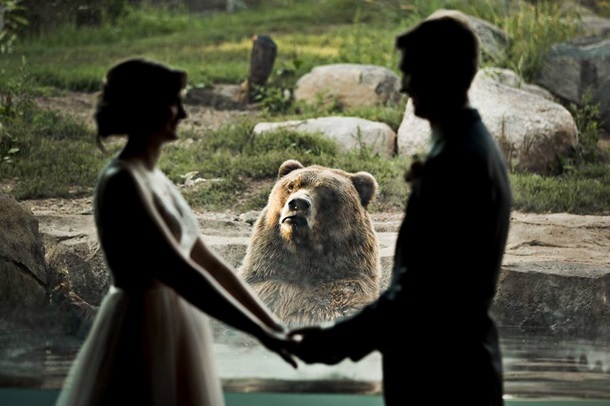 Emotional bear got into wedding photos - The Bears, Wedding, Emotions