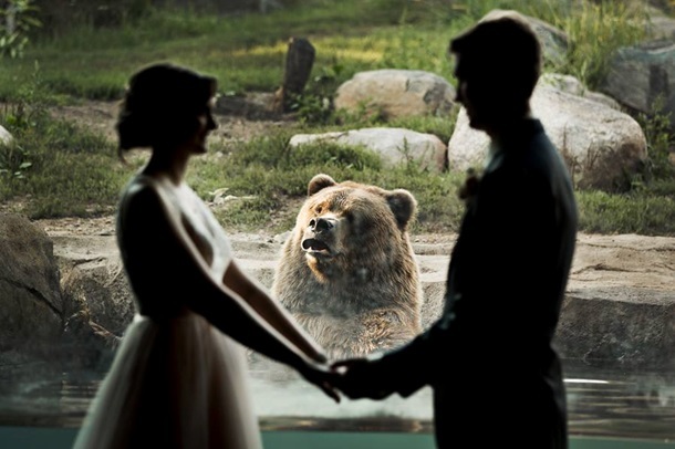 Emotional bear got into wedding photos - The Bears, Wedding, Emotions