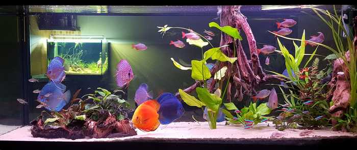 Картинка в картинке))