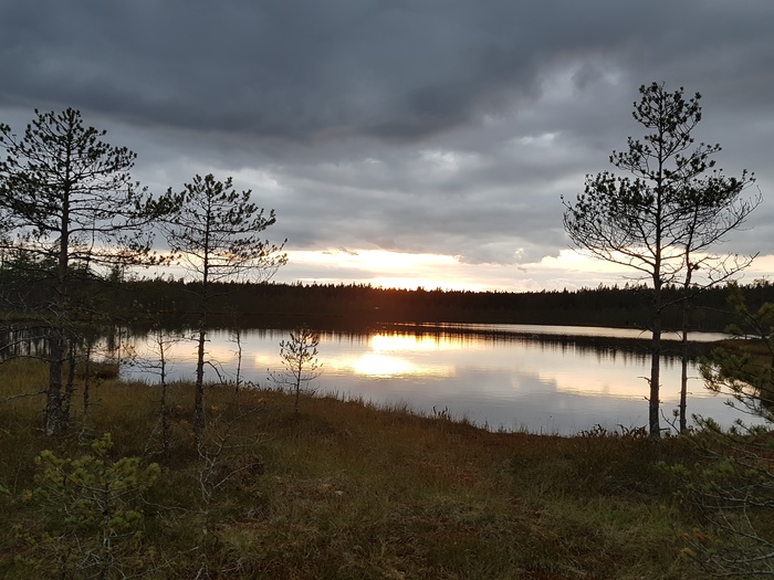 Пикабушное выживание. Выживание, Поход, Туризм, Компания, Длиннопост