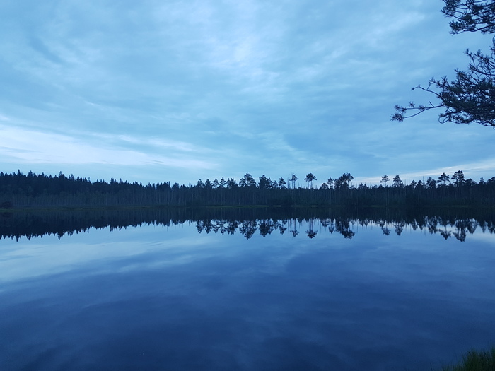 Пикабушное выживание. Выживание, Поход, Туризм, Компания, Длиннопост