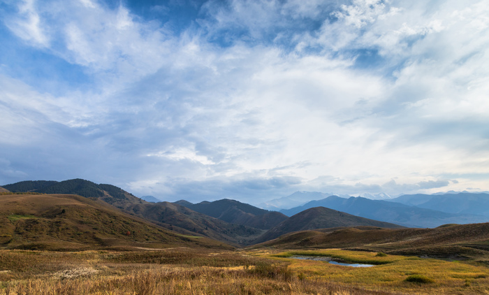 While it's still warm - My, Almaty, Almaty mountains, Macro, Landscape, Sunset, , Canon, Longpost, Macro photography