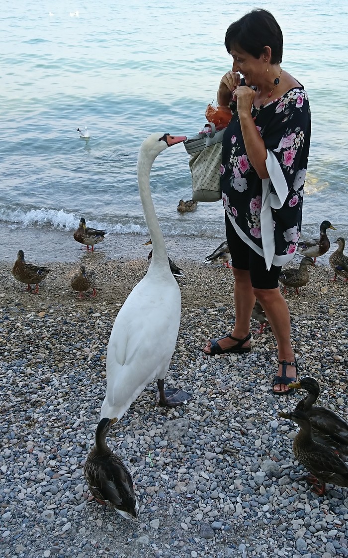 Stinging, cutting, tasty? - My, Search, Lake Garda