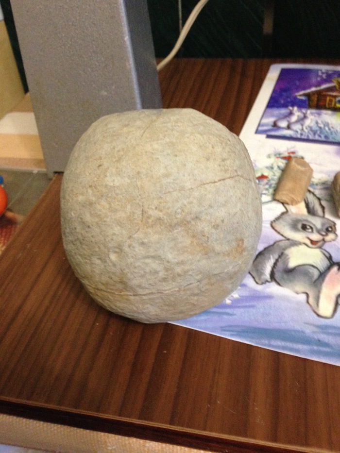 Fossilized or not? - My, Fossils, Eggs, Longpost