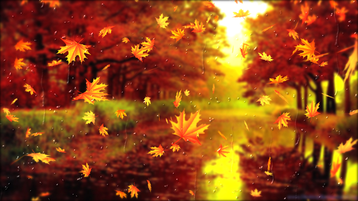 Autumn is in the air - Leaf fall, Leaves, Animation, Autumn, My, GIF, Video